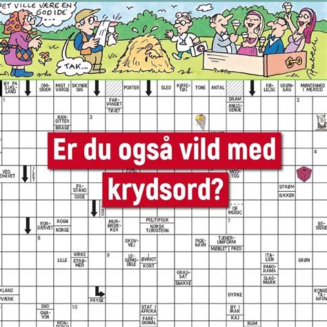 FANATISKE krydsord: 29 forskellige løsninger